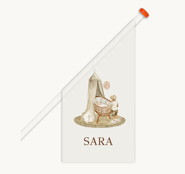 Geboortevlag voor een zusje met broer bij wieg en roze ballon