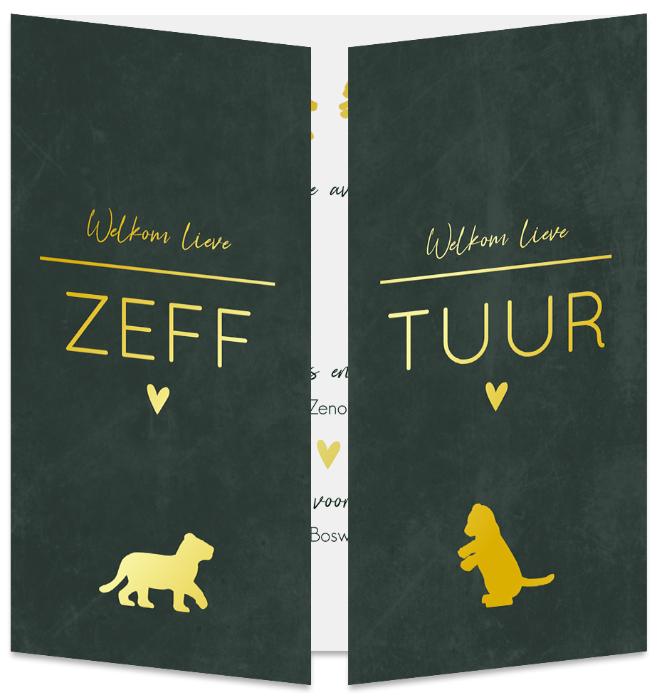 Geboortekaartje Tweeling Luikaartje Leeuwtjes Stoer