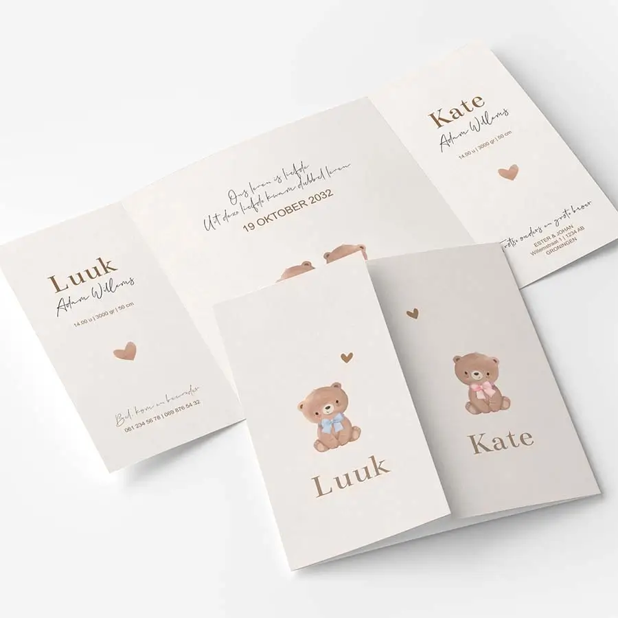 Geboortekaartje theatervouw tweeling met beertjes