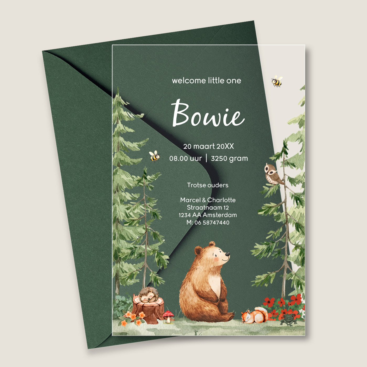 Acryl geboortekaartje beertje in het bos