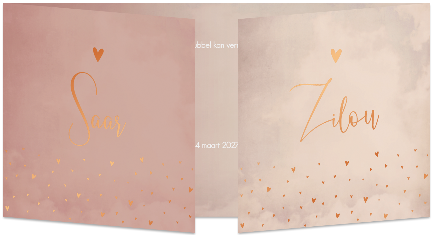 Geboortekaartje Tweeling Panorama Luikkaartje Hartjes