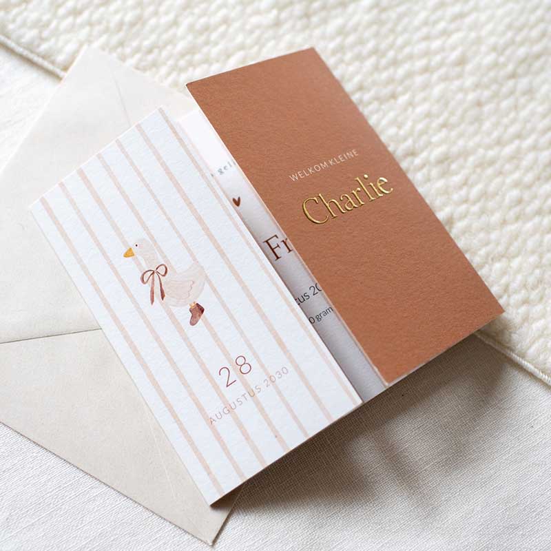 Geboortekaartje neutraal tweeluik gans