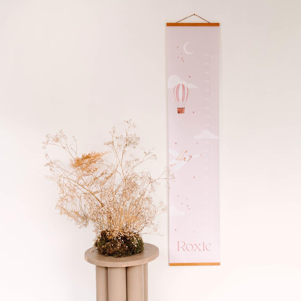 Groeimeter kinderkamer met luchtballon en gansje