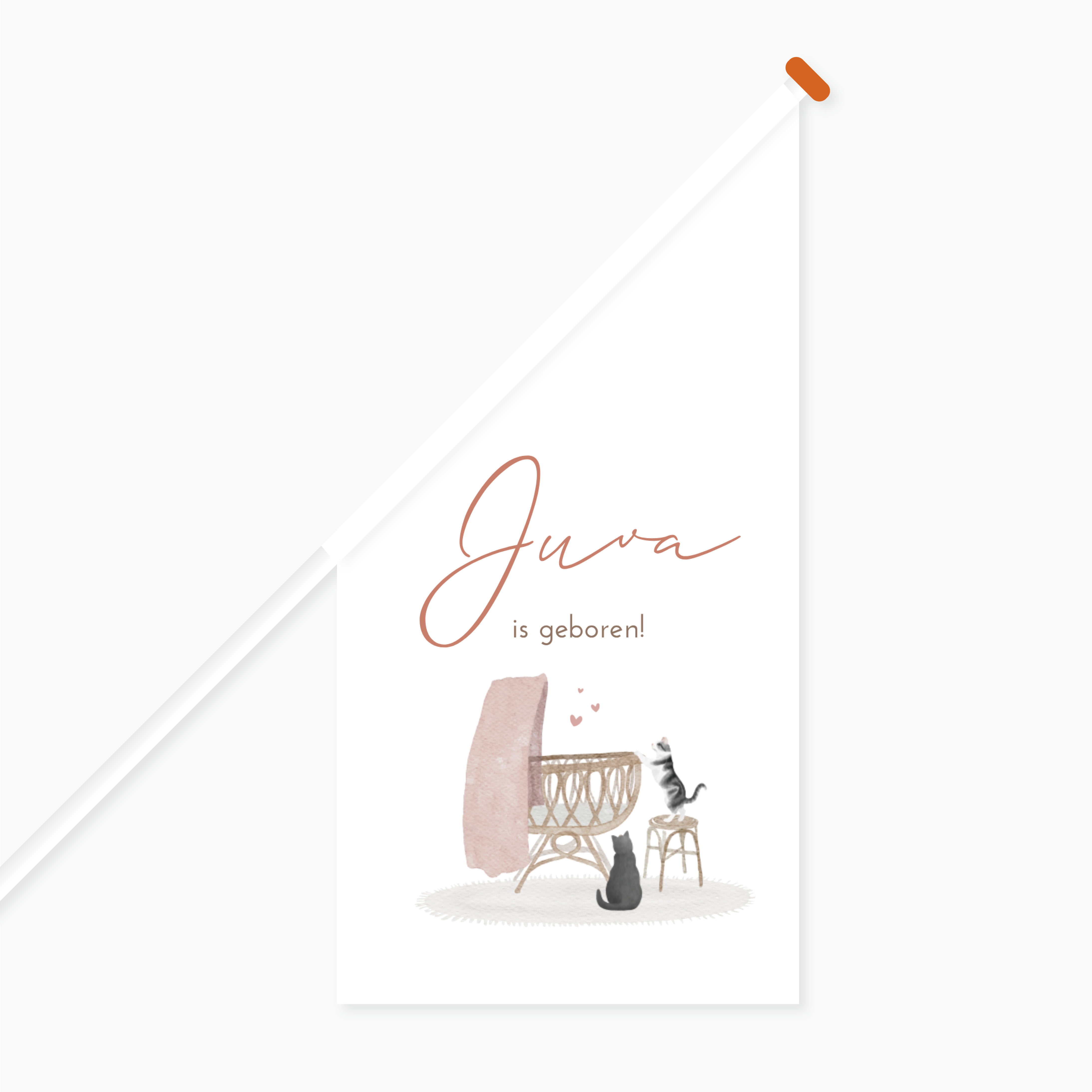 Vlag kat poes wiegje meisje