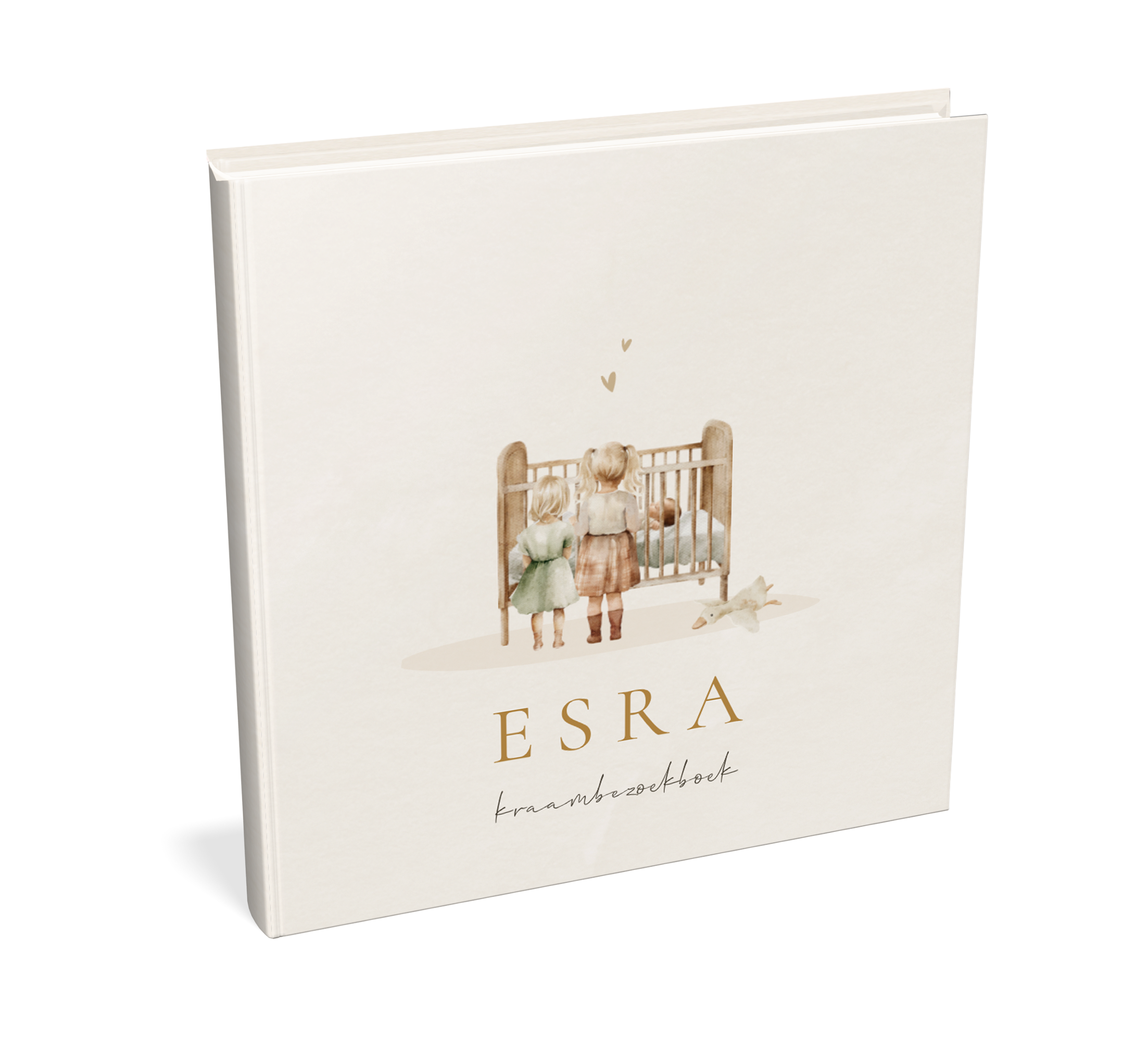 Kraambezoekboek neutraal met illustraties grote zussen