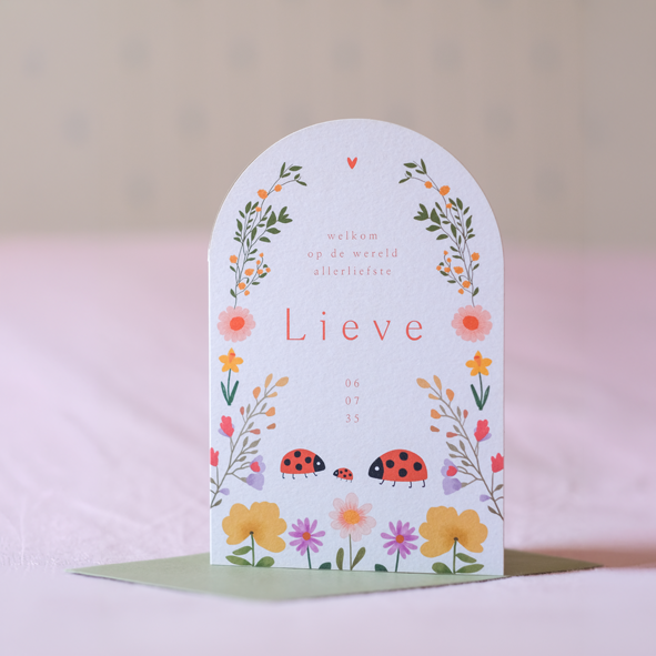 Dubbel boog geboortekaartje met bloemen en lieveheersbeestjes