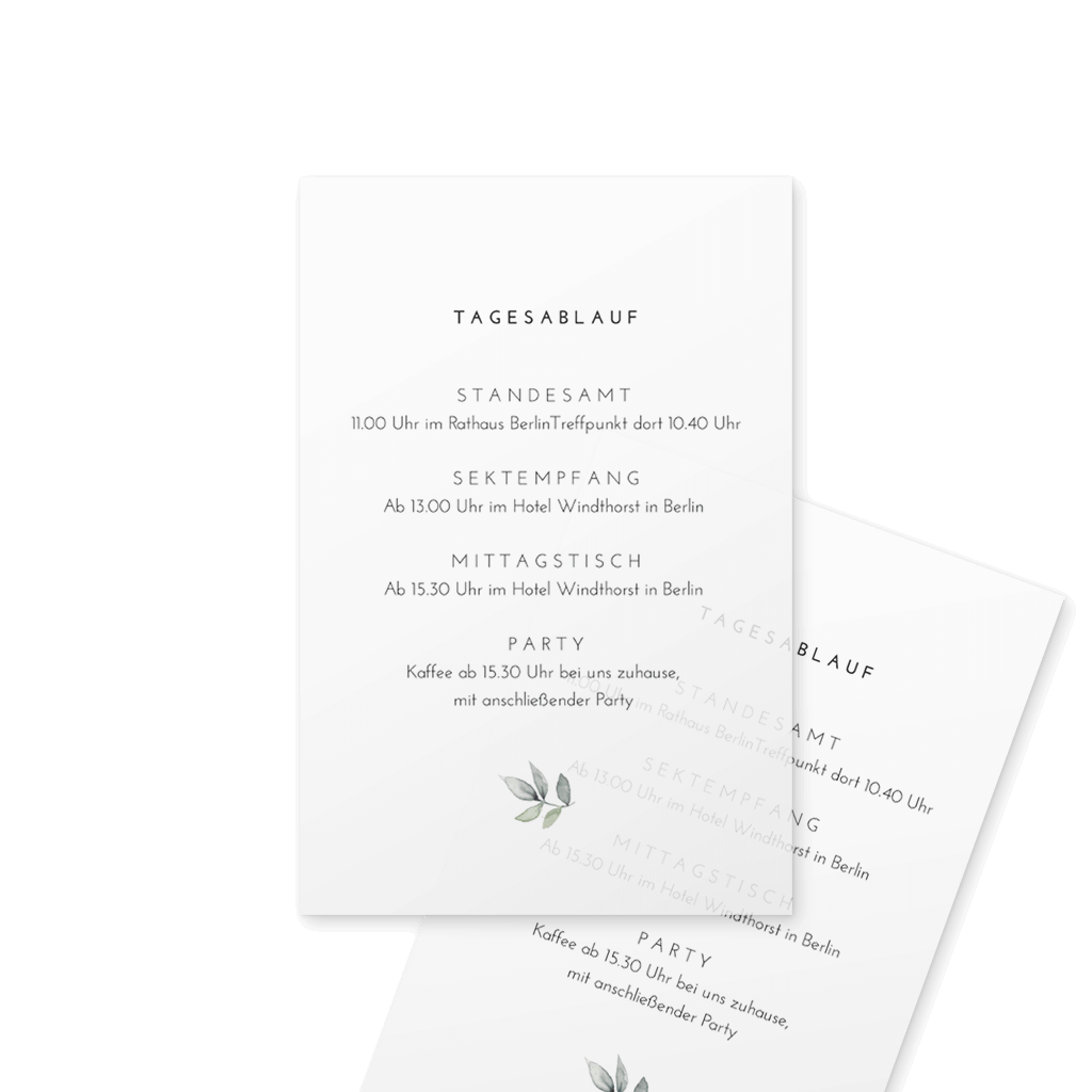 Einleger Transparentpapier mit Blättern "Eukalyptus"