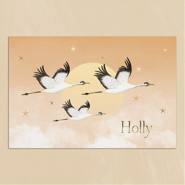 Geboortekaartje Kraanvogels met Zon en Sterren