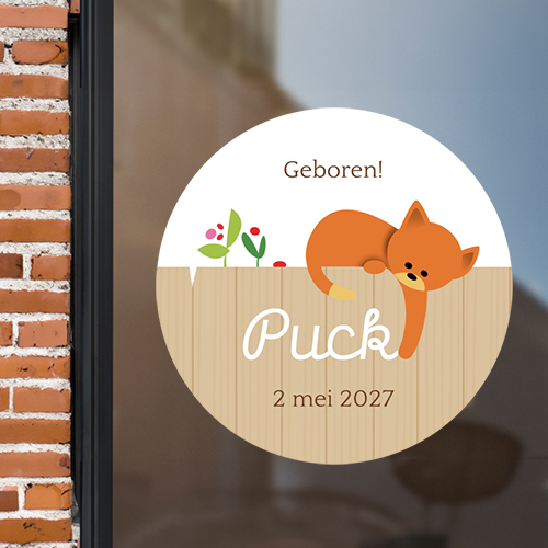 raamsticker kat op schutting