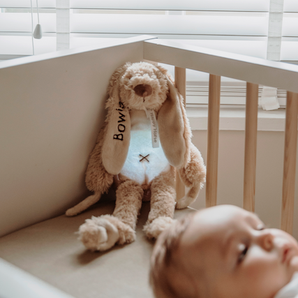 Zacht Happy Horse konijn Richie met nachtlampje