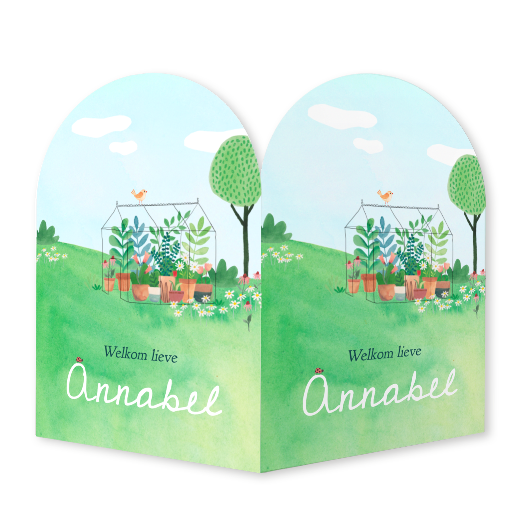 Boogvorm raambord 'Annabel' | Illustratie met kas en plantjes