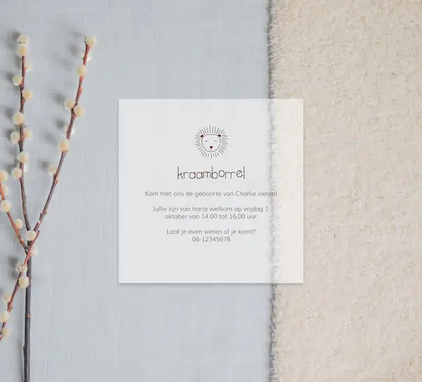 Kalkpapier kraamborrel uitnodiging met illustratie leeuwtje