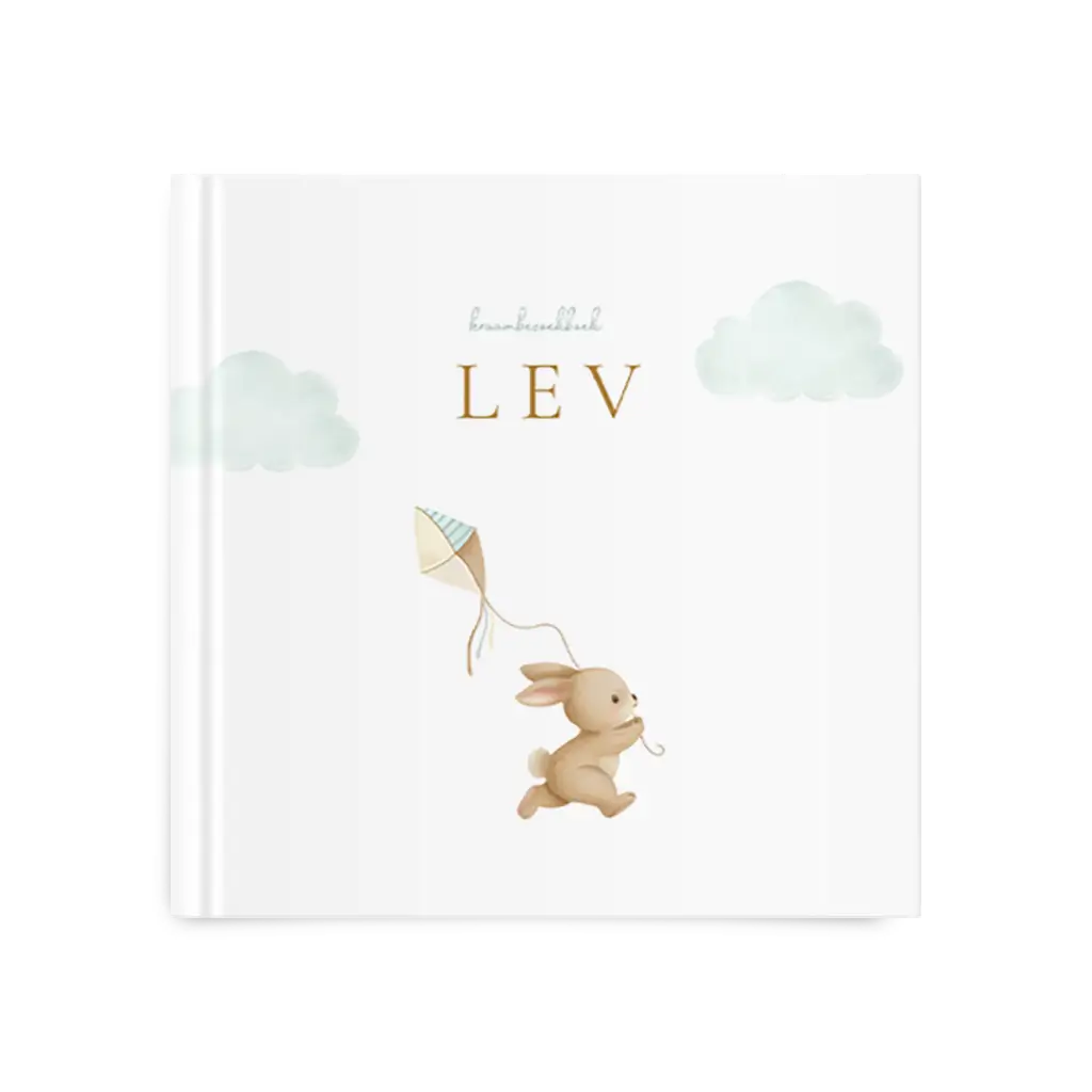 Kraambezoekboek jongen met konijn, vlieger en blauwe wolkjes