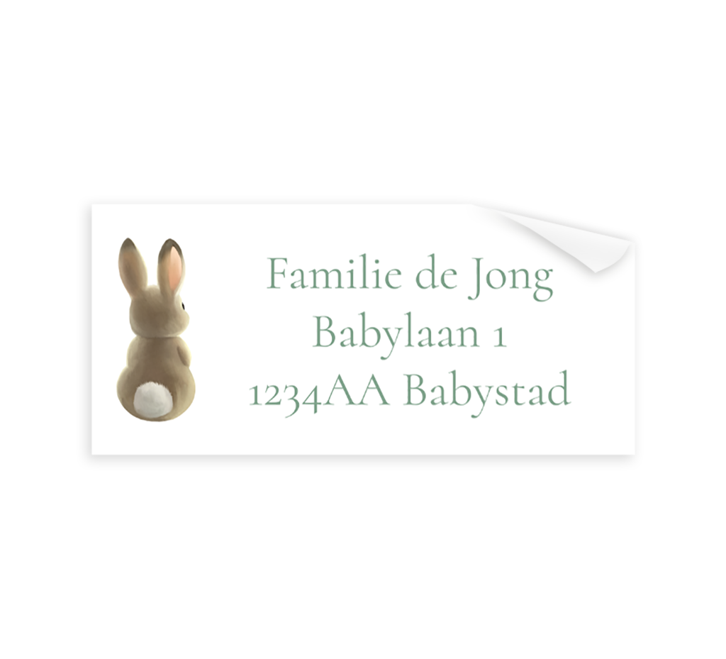 Adresstickers met schattig konijntje