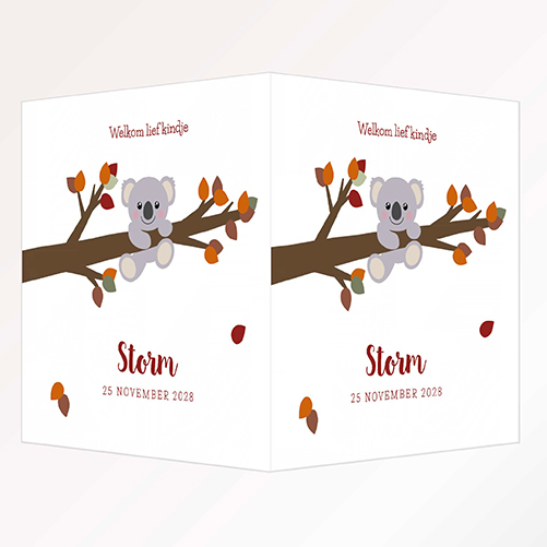 Geboortebord dubbel koalabeertje aan een tak herfst