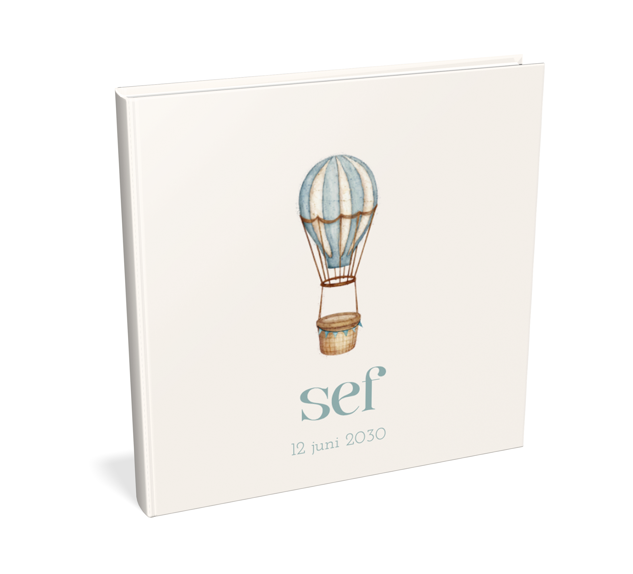 Kraambezoekboek met blauwe luchtballon