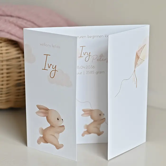 Geboortekaart meisje in theater vorm met konijn en vlieger