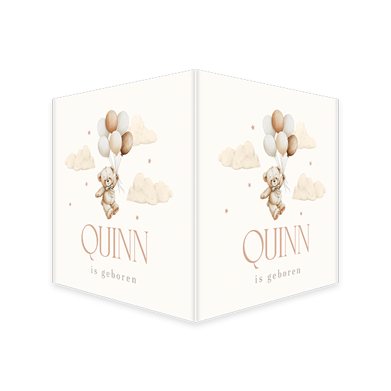 Lief raambord met beertje aan ballonnen