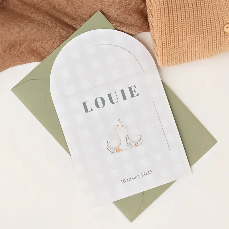 Lief insteek geboortekaartje in arch vorm met ruitpatroon en gansjes