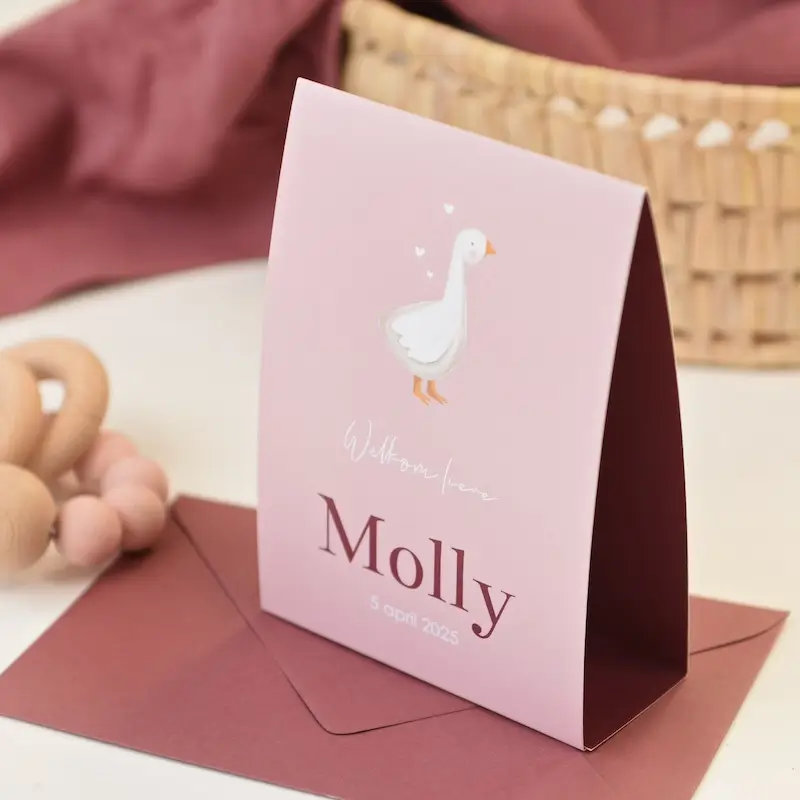 Roze geboortekaartje meisje met gansje in tentvorm