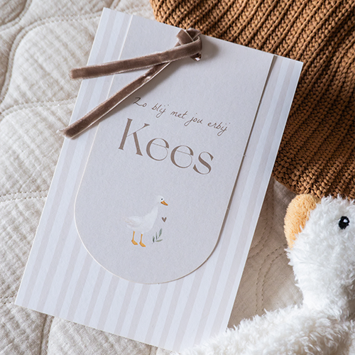 Uni geboortekaartje streepjes met gansje en afgerond linnenlook label 