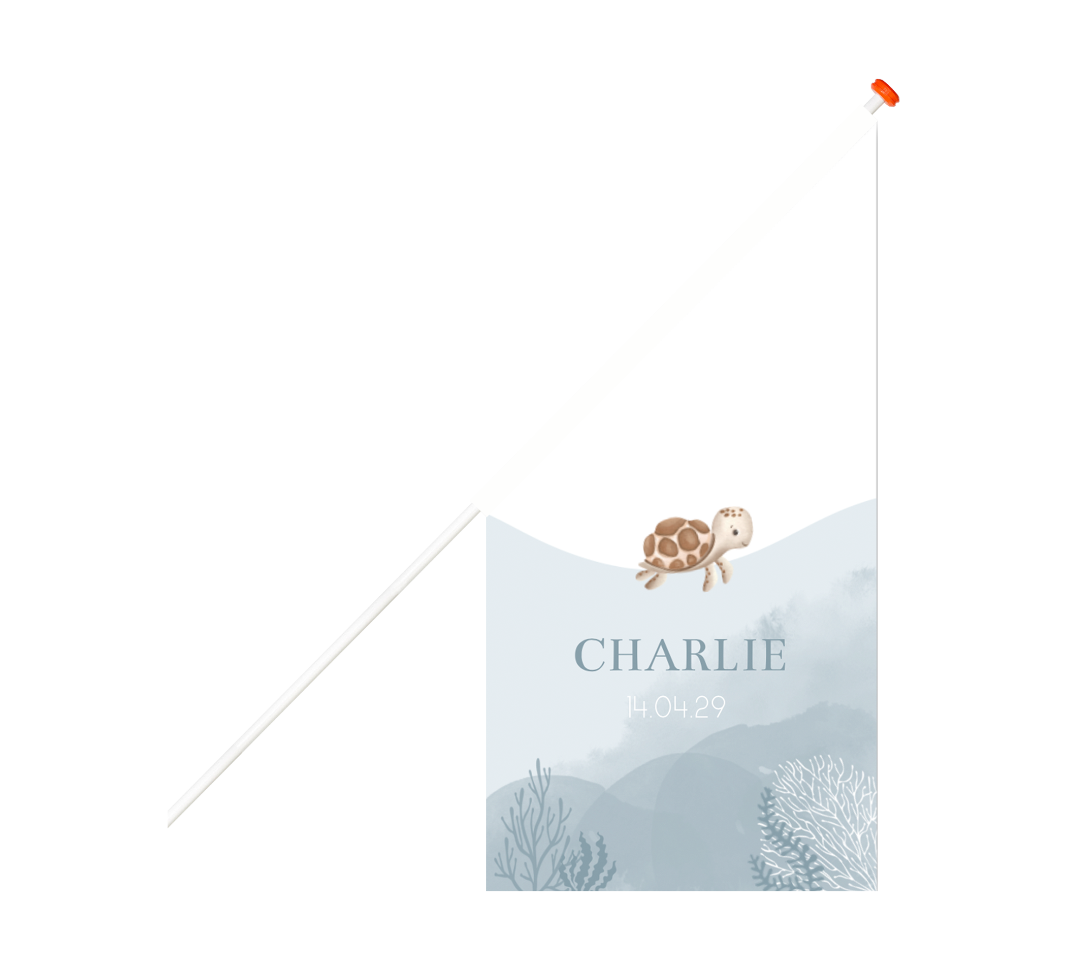 Mooie geboortevlag met onderwaterwereld en zeeschildpad