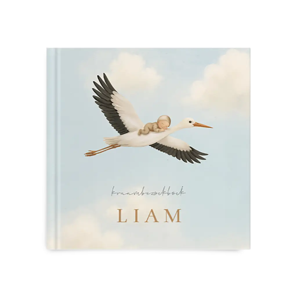 Kraambezoekboek jongen met ooievaar en wolken - met invulpagina's