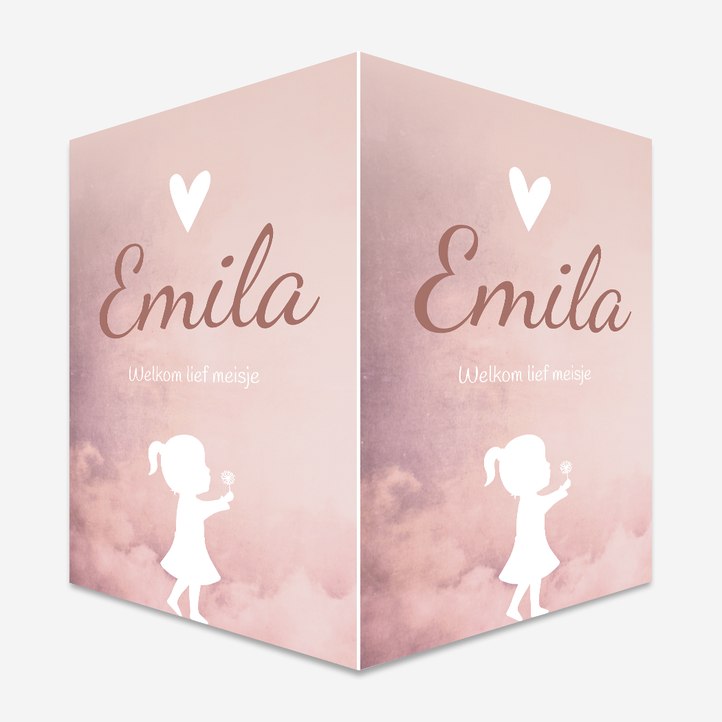 Raambord XL Meisje Roze Hartje