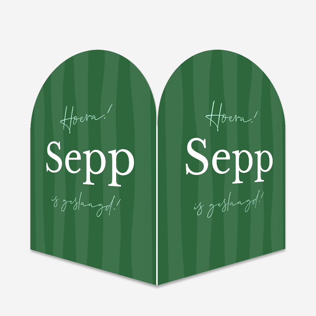 Diploma Geslaagd Raambord Boog 