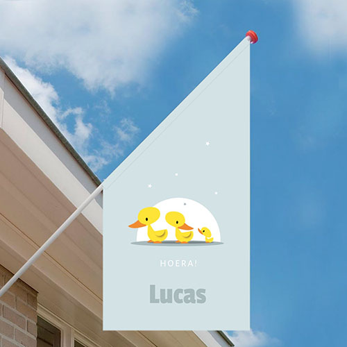 Geboortevlag drie eendjes