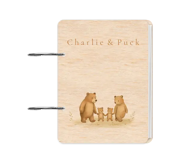 Bewaarbundel geboortekaartjes met tweeling beertjes