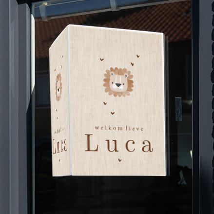 Raambord jongen met leeuw en linnen