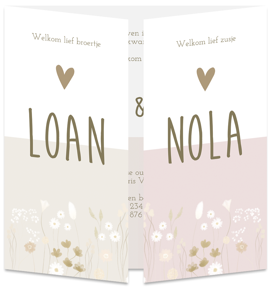 Geboortekaartje Tweeling Droogbloemen Jongen Meisje