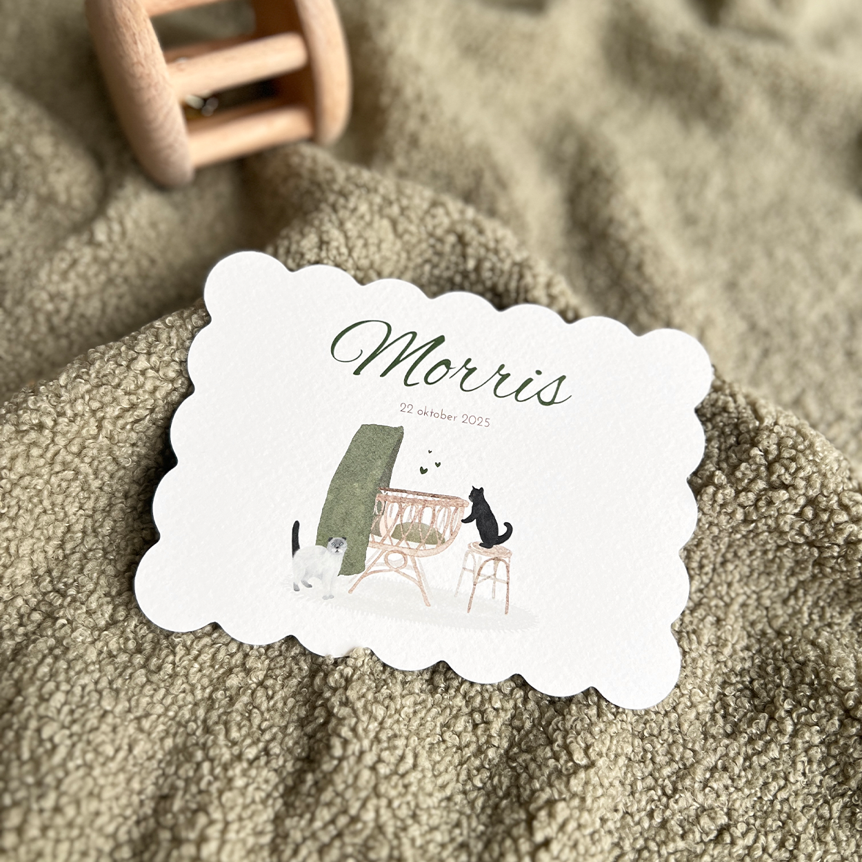 Geboortekaartje Jongen Koekje Wiegje Katten