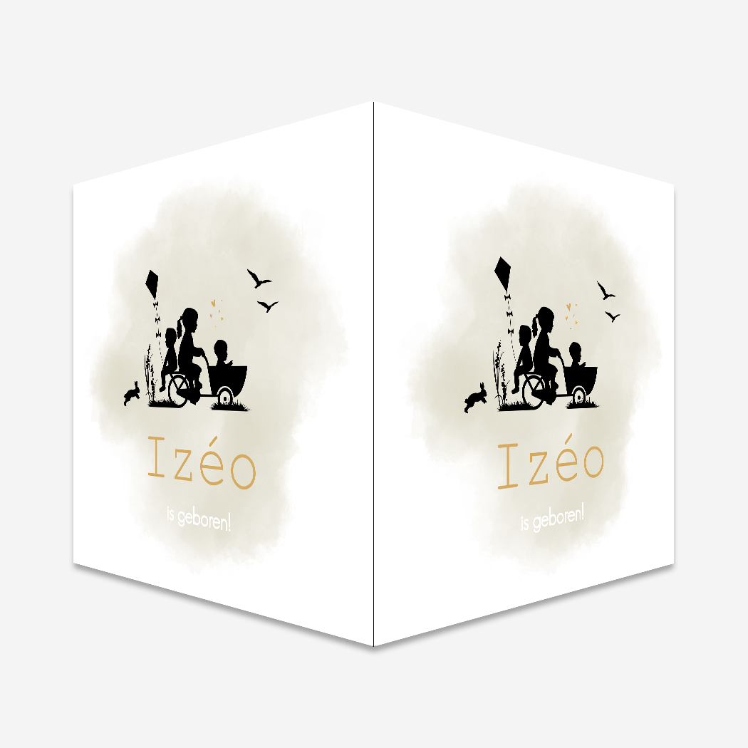 Raambord Bakfiets Vlieger Kindjes