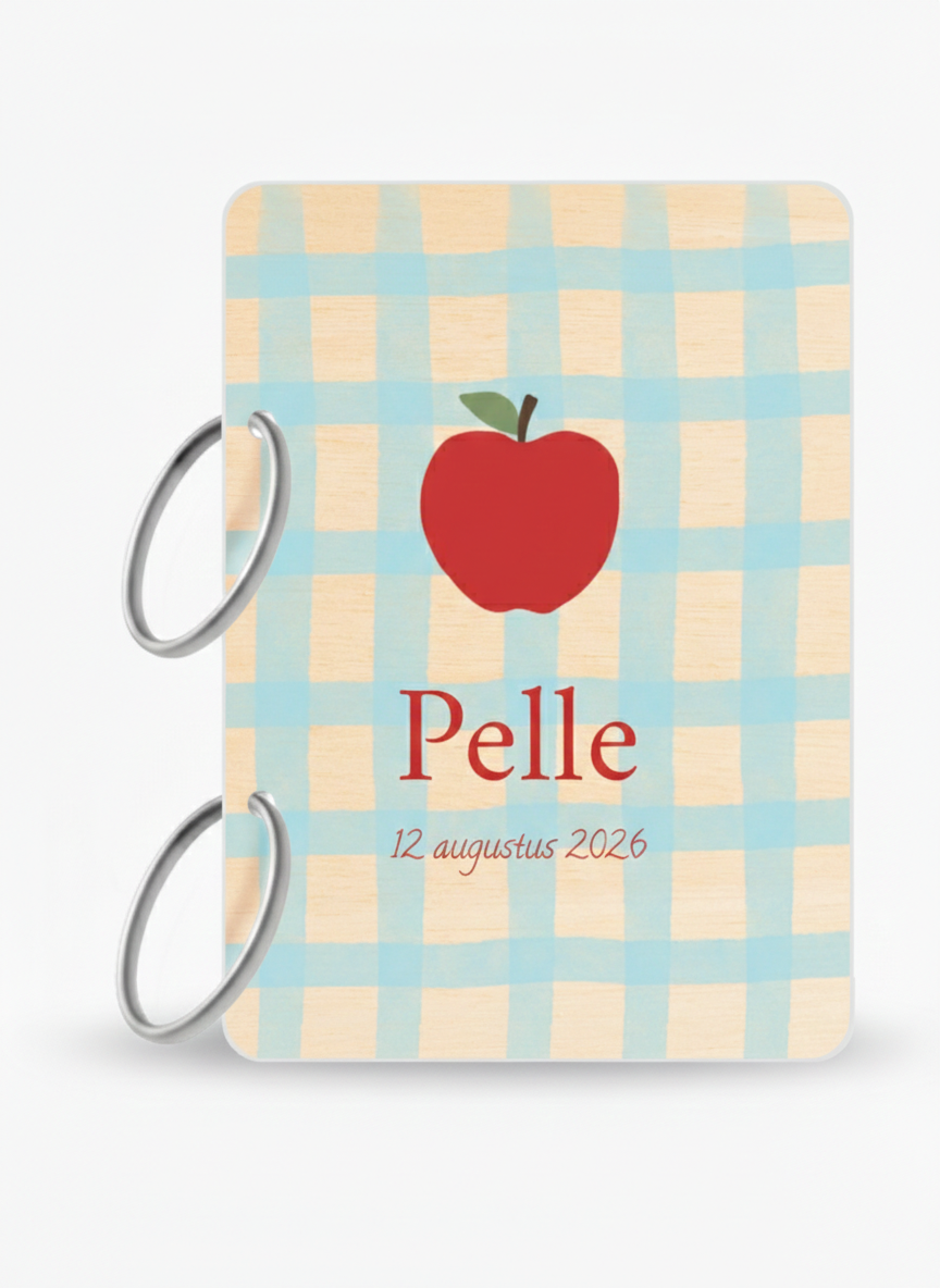 Bewaarbundel geboortekaartjes Ruitjes blauw appel Pelle