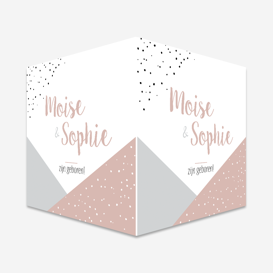 Raambord Geboortebord Roze Stipjes Tweeling