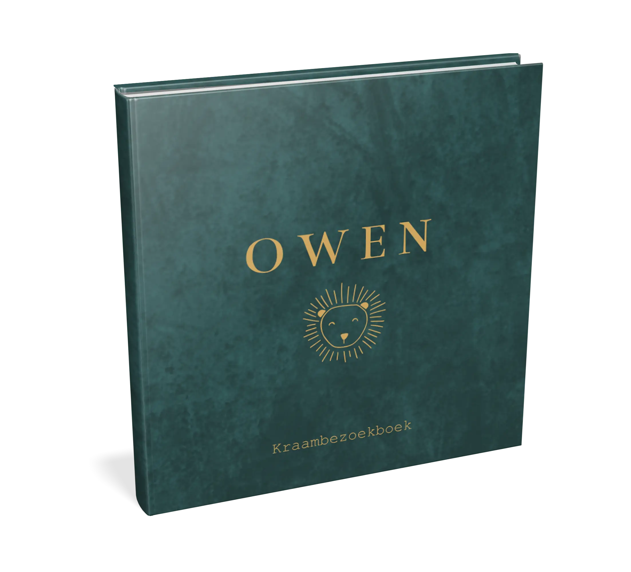 Kraambezoekboek stoer groen met leeuw