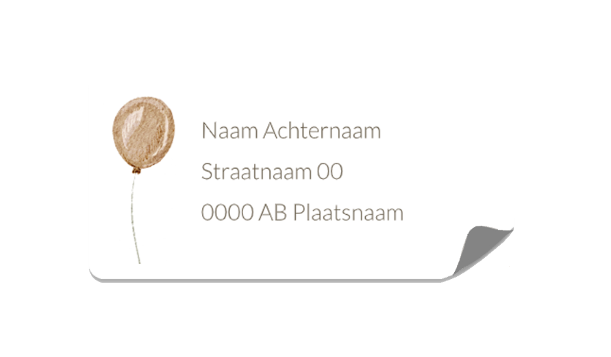 ADRESSTICKERS GEBOORTE BABY OUD ROZE BALLON