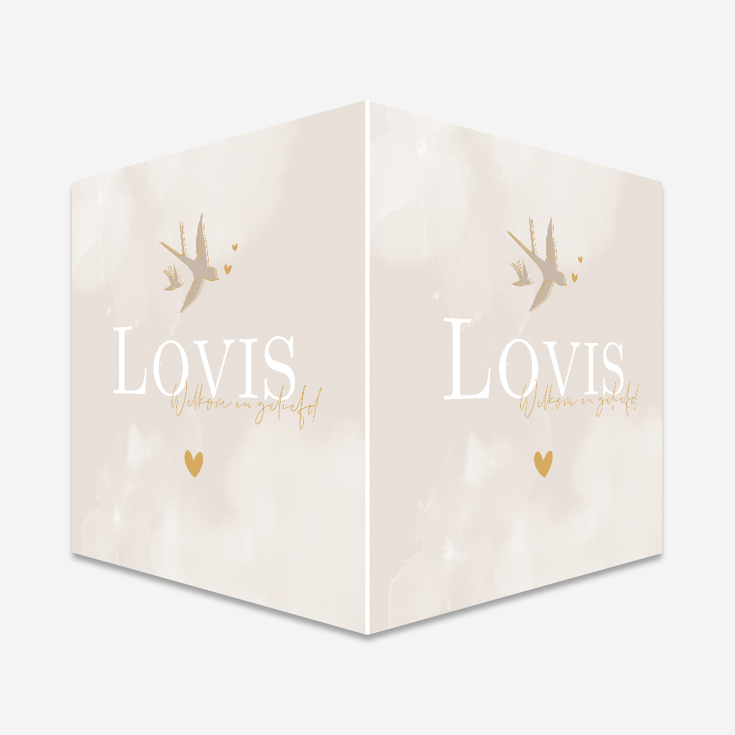 Raambord Zwaluw Vogels Beige