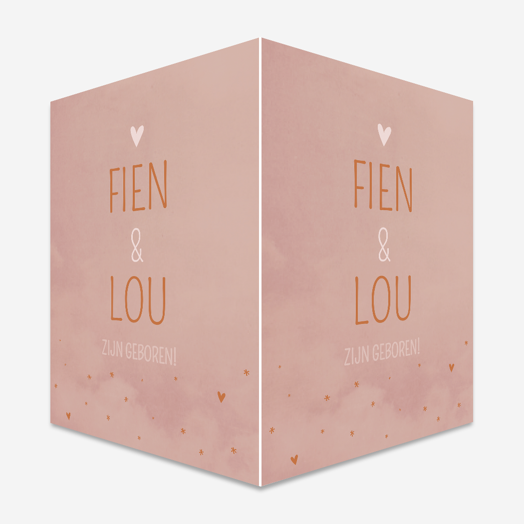 Raambord Geboorte Tweeling Roze Gewolkt