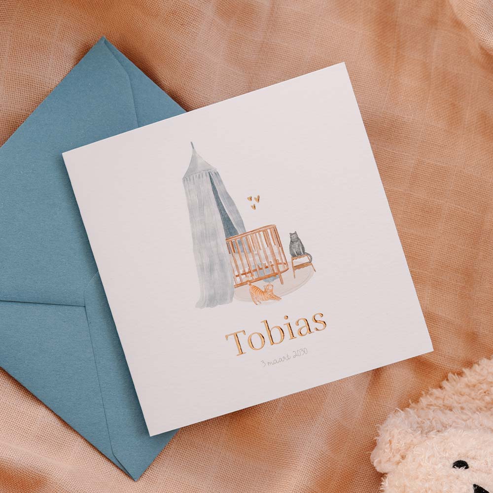 Lief geboortekaartje jongen met wiegje en katjes