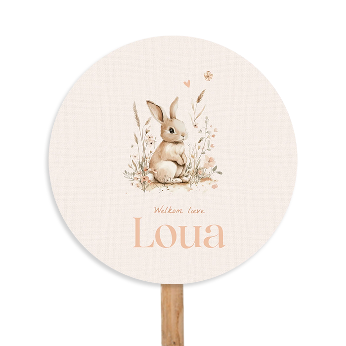 Rond geboorte tuinbord 80 cm lief konijntje