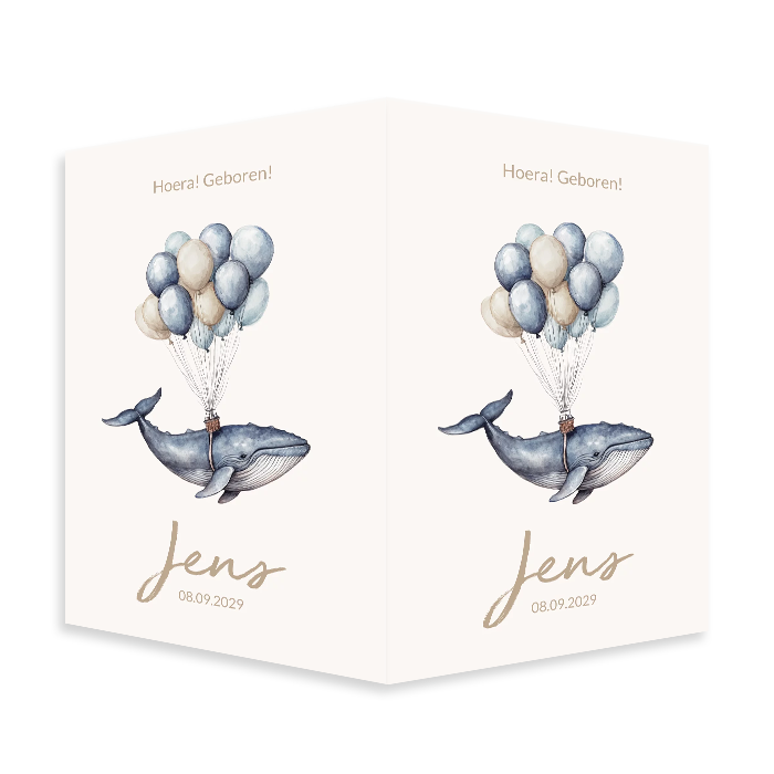 Raambord walvis aan blauwe ballonnen