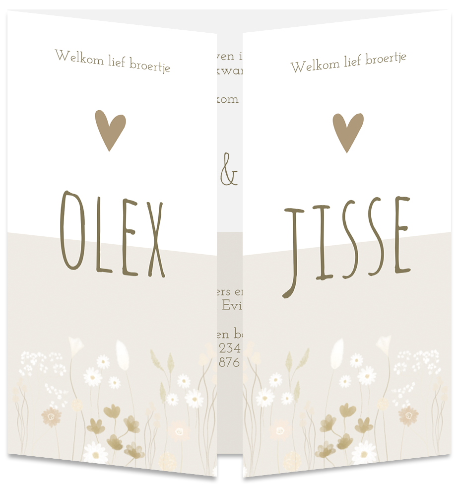 Geboortekaartje Tweeling Droogbloemen Beige Jongens