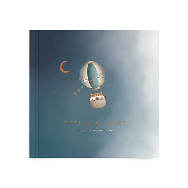 Kraambezoekboek blauw met tweeling vosjes in luchtballon