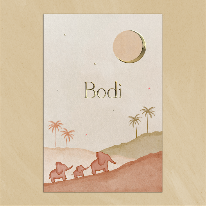 Geboortekaartje Landschap Olifantjes Palmbomen Terracotta Aardetinten