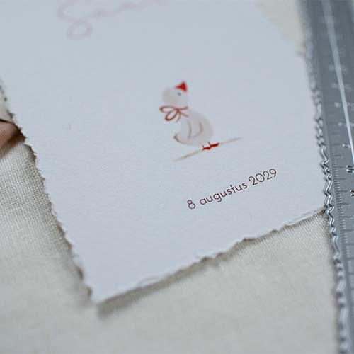 Lief geboortekaartje meisje handgeschept papier kuikentje