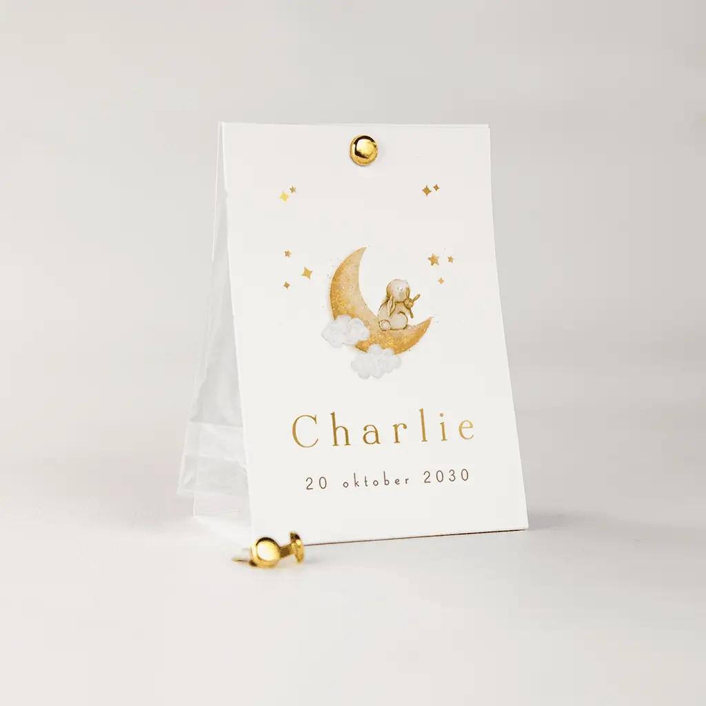 Doopsuiker snoepzakje beige met konijntje op de maan en goudfolie 