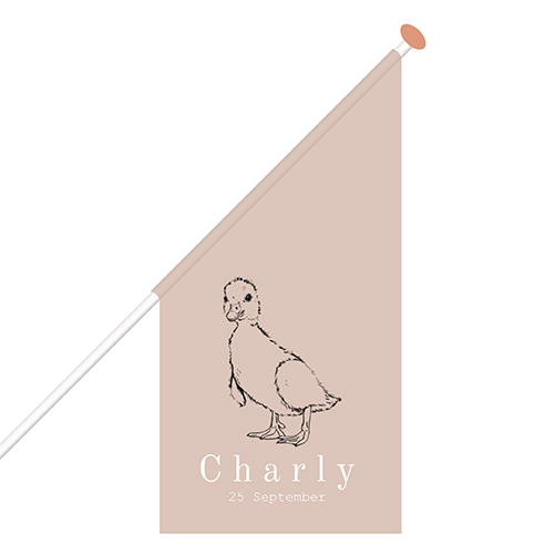 Geboortevlag met naam en babyeendje